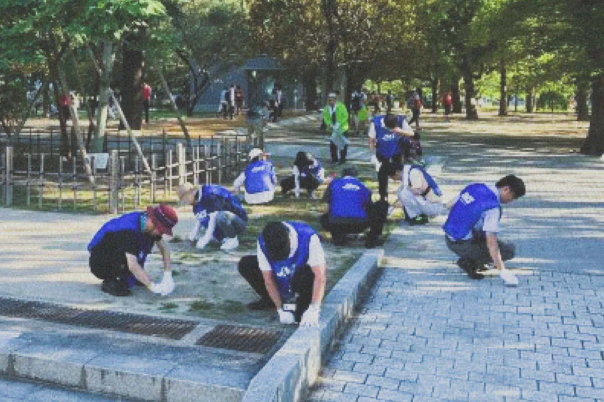 美化・清掃活動